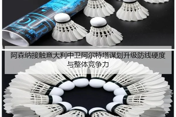 阿森纳接触意大利中卫阿尔特塔谋划升级防线硬度与整体竞争力